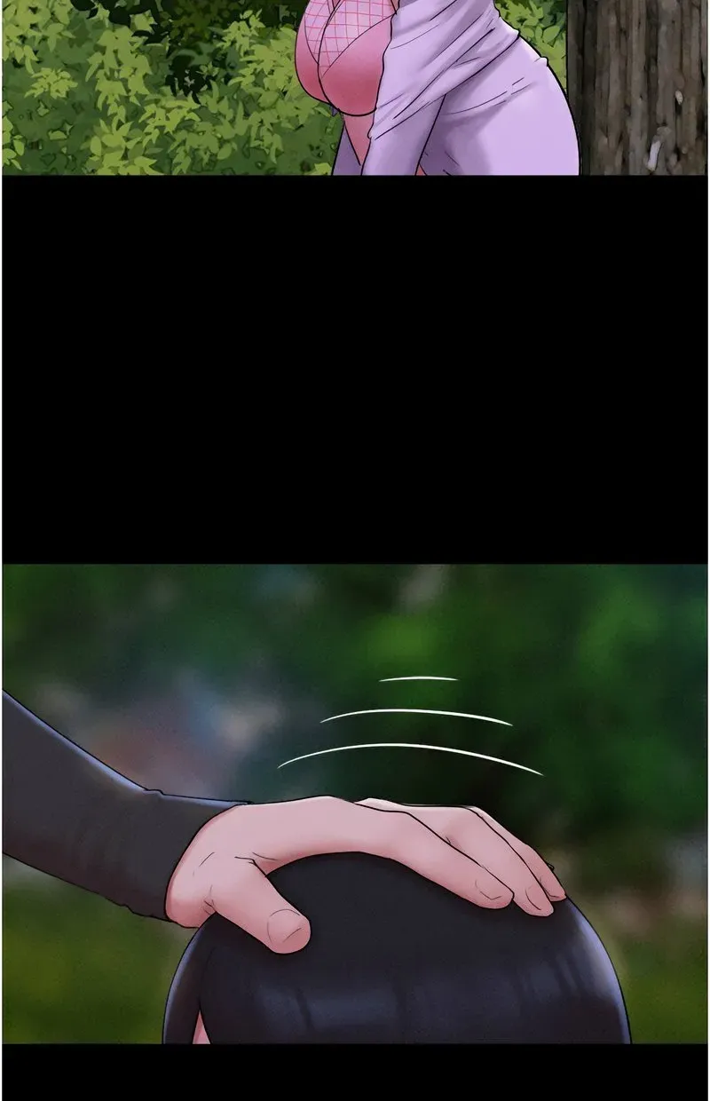 韶恩