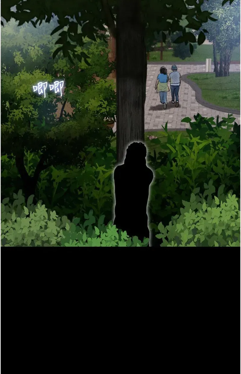 韶恩
