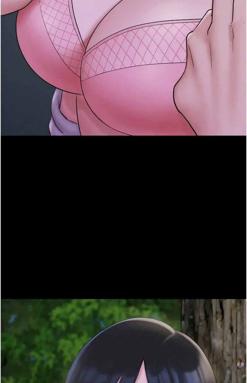 韶恩