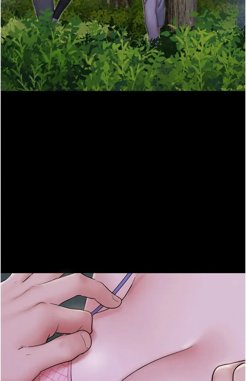 韶恩