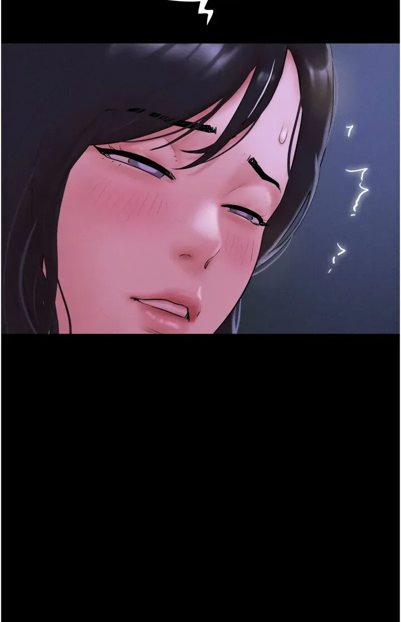 韶恩