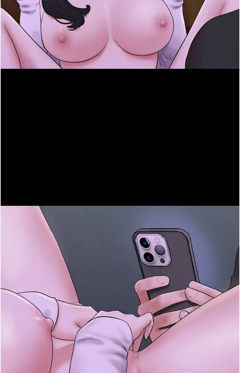 韶恩