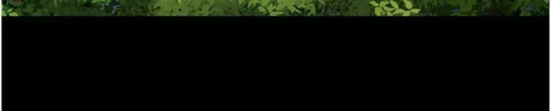 韶恩