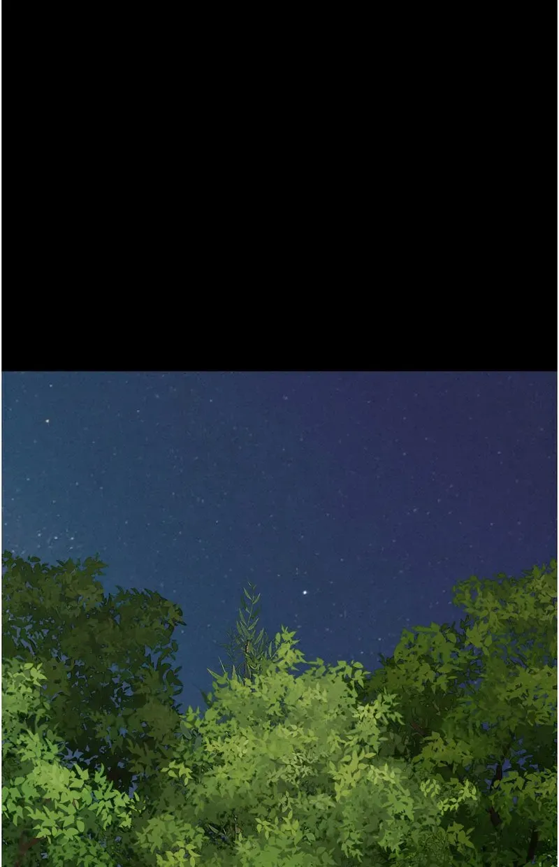 韶恩
