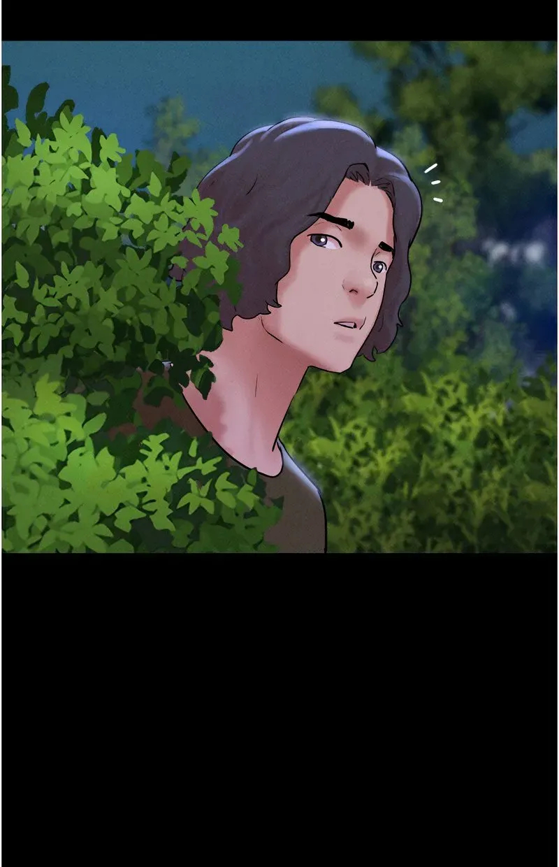 韶恩