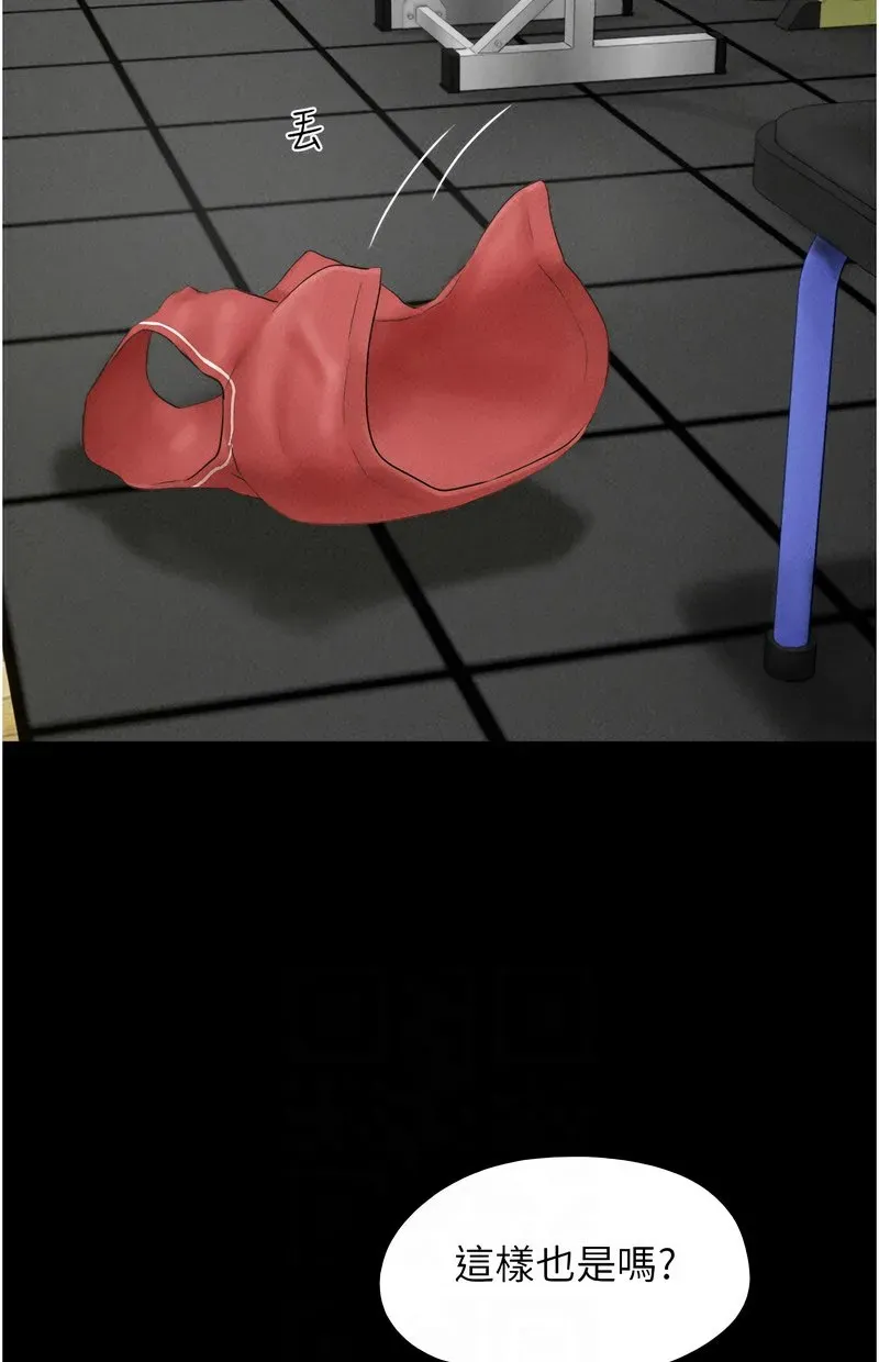 韶恩