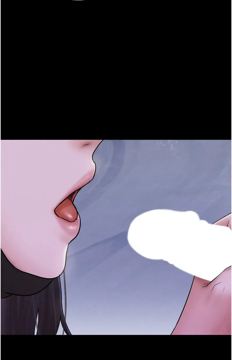 韶恩