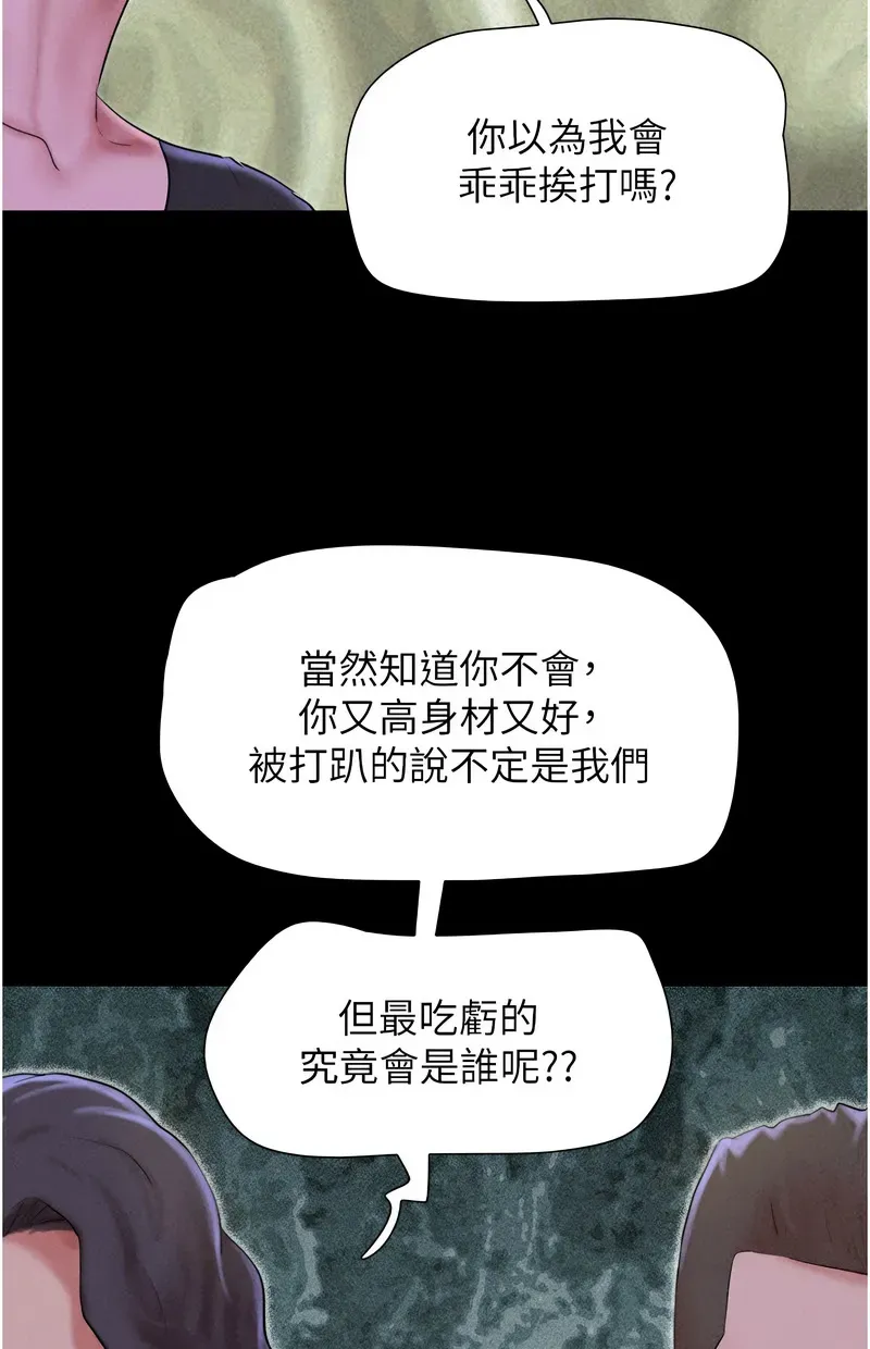 韶恩