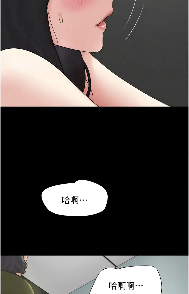 韶恩