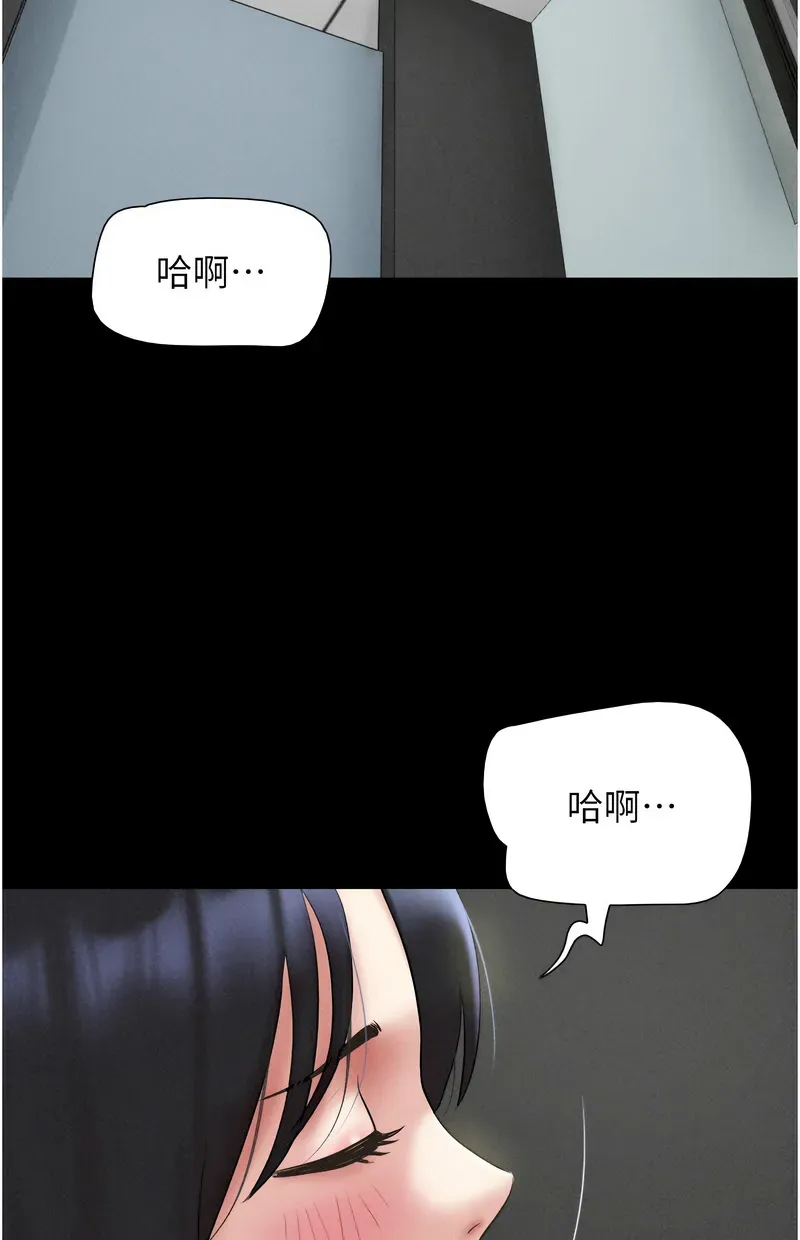 韶恩