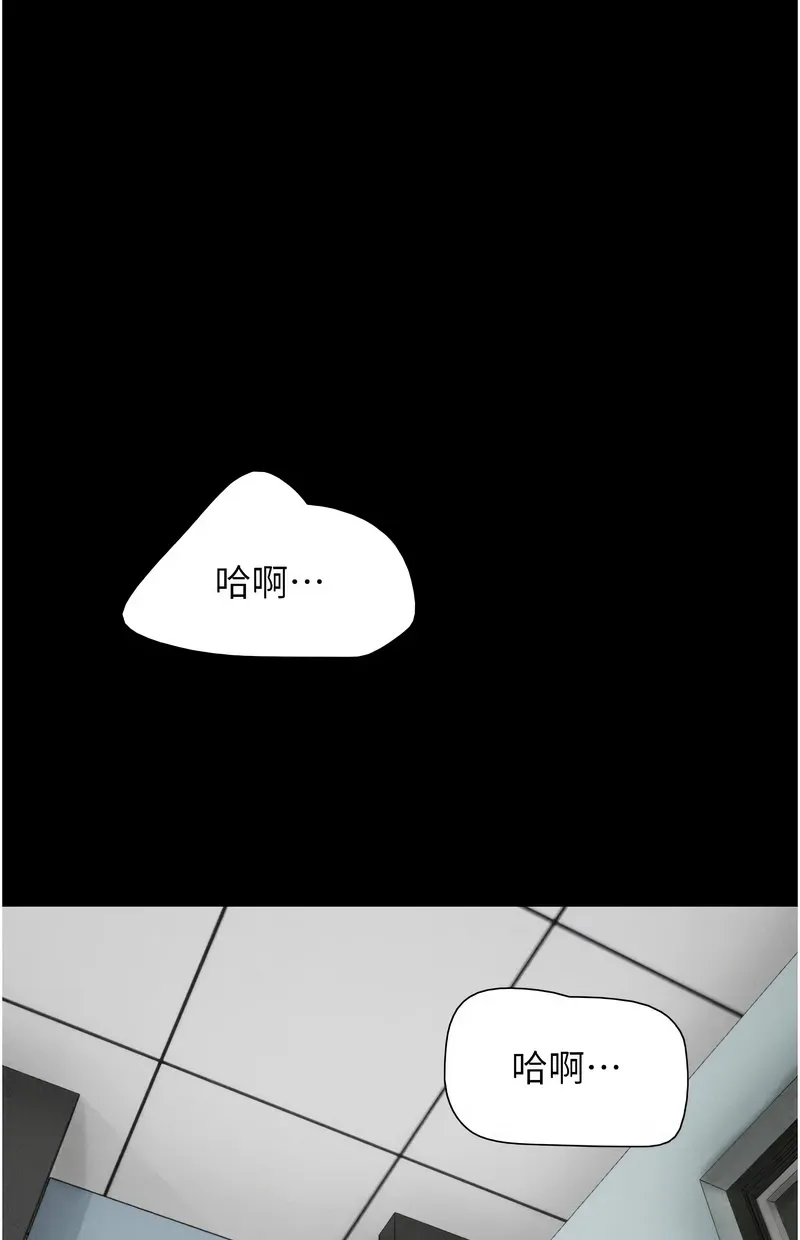 韶恩