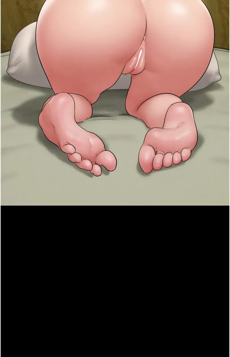 韶恩