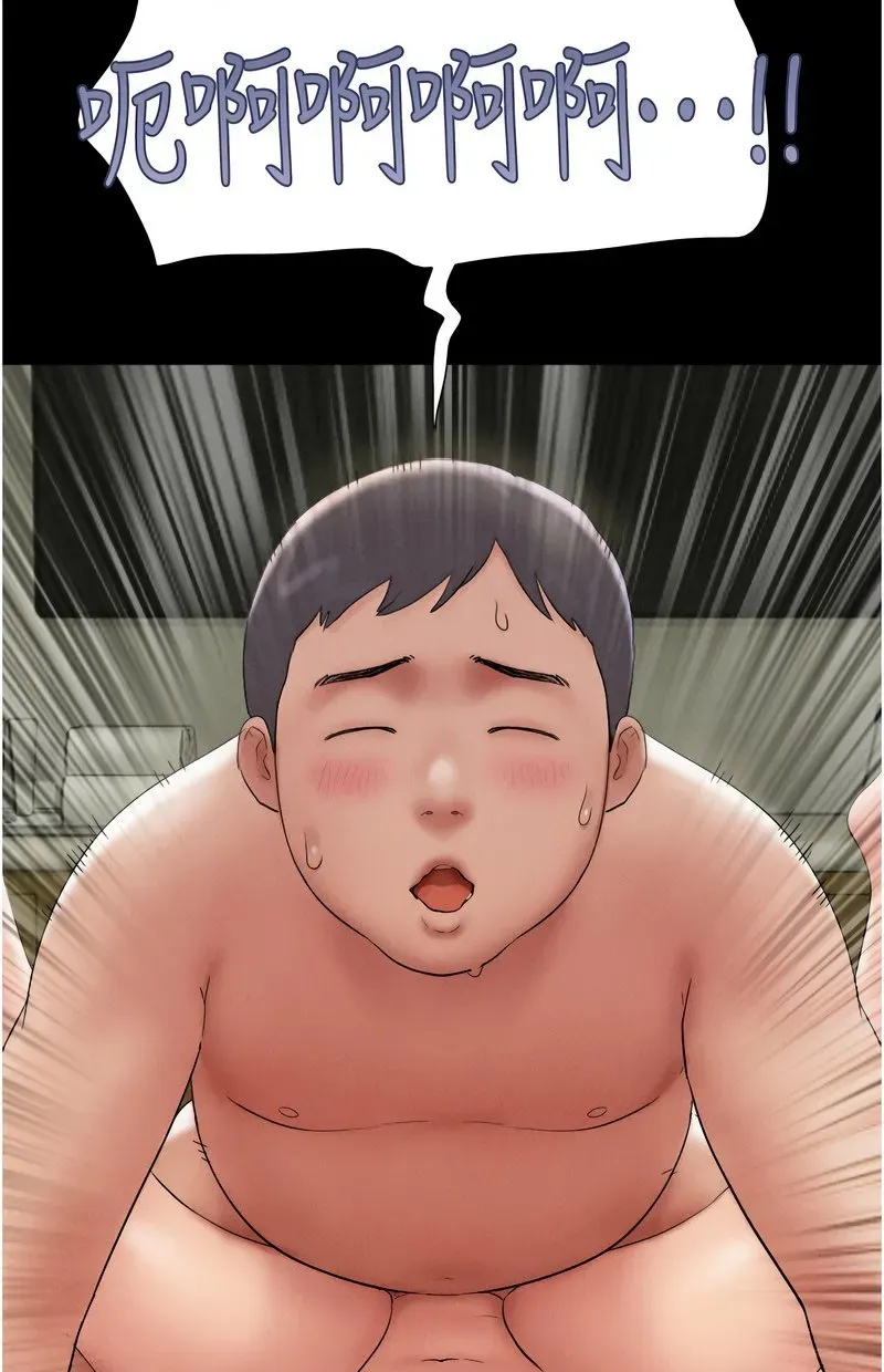 韶恩