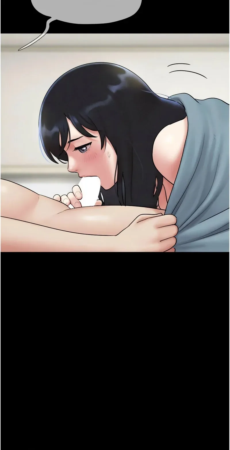韶恩