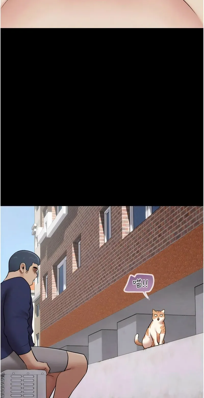 韶恩