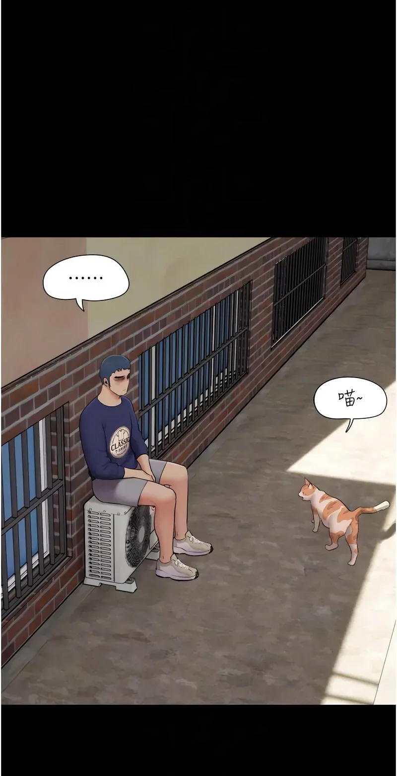 韶恩