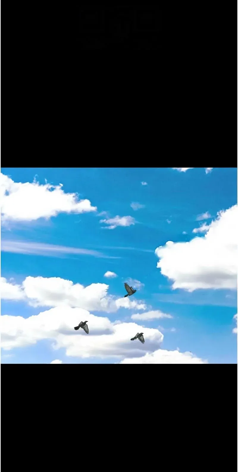 韶恩