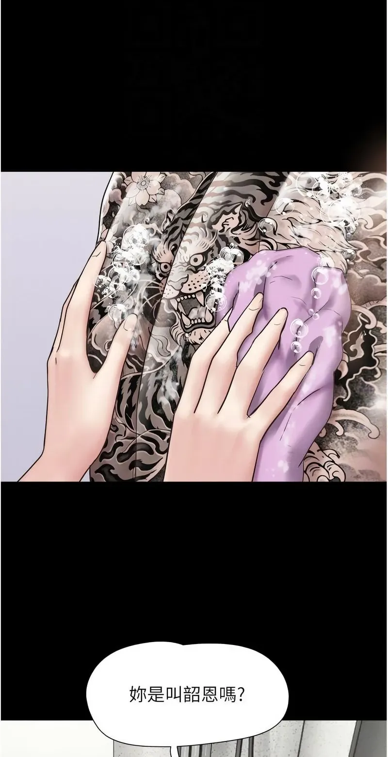 韶恩