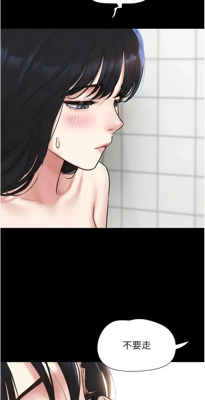 韶恩