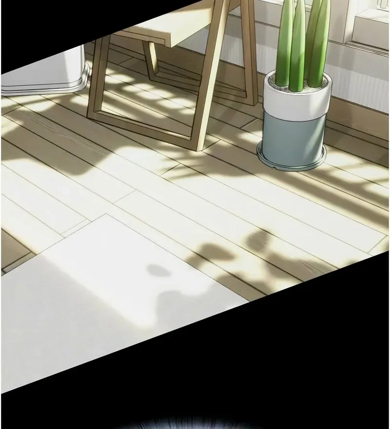 韶恩