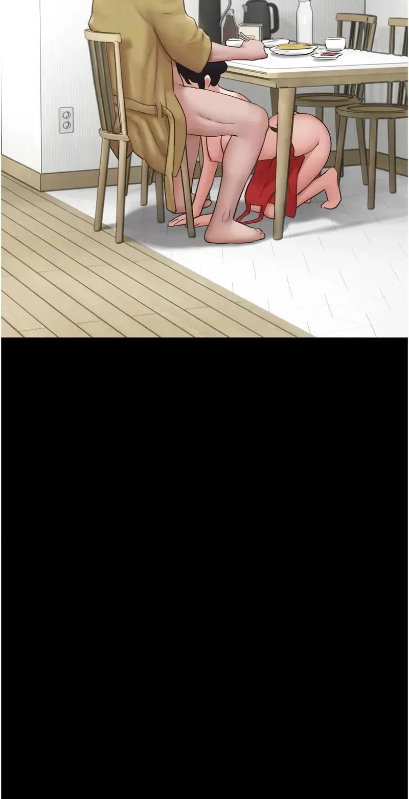 韶恩