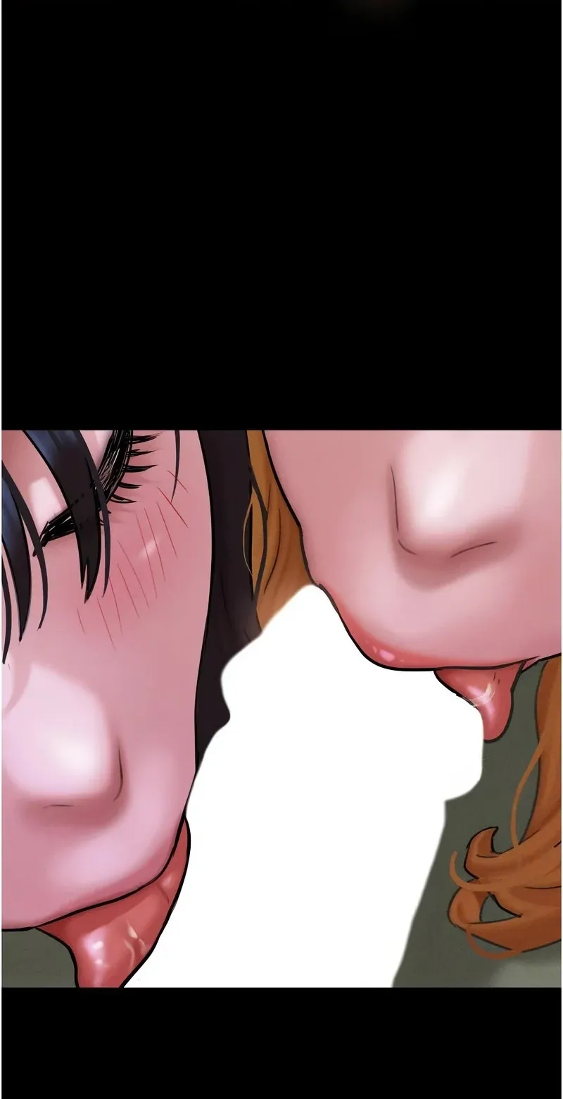 韶恩