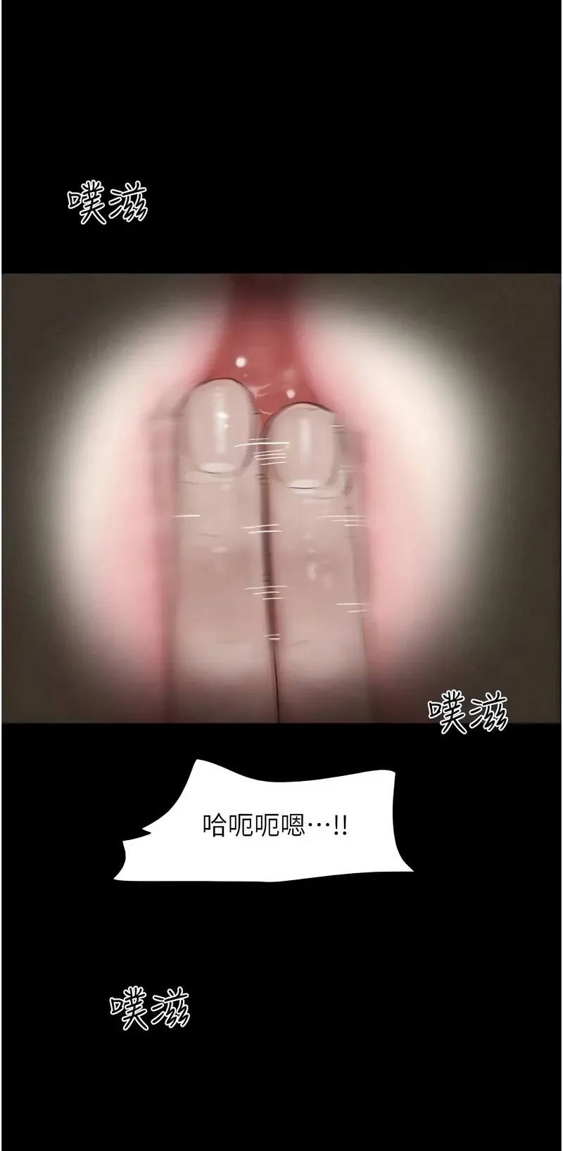 韶恩
