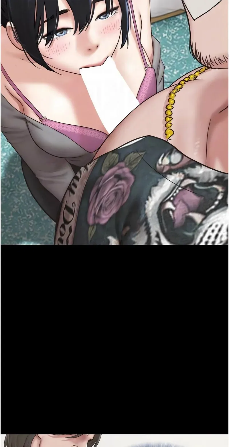韶恩