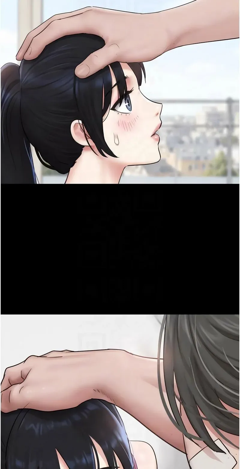 韶恩