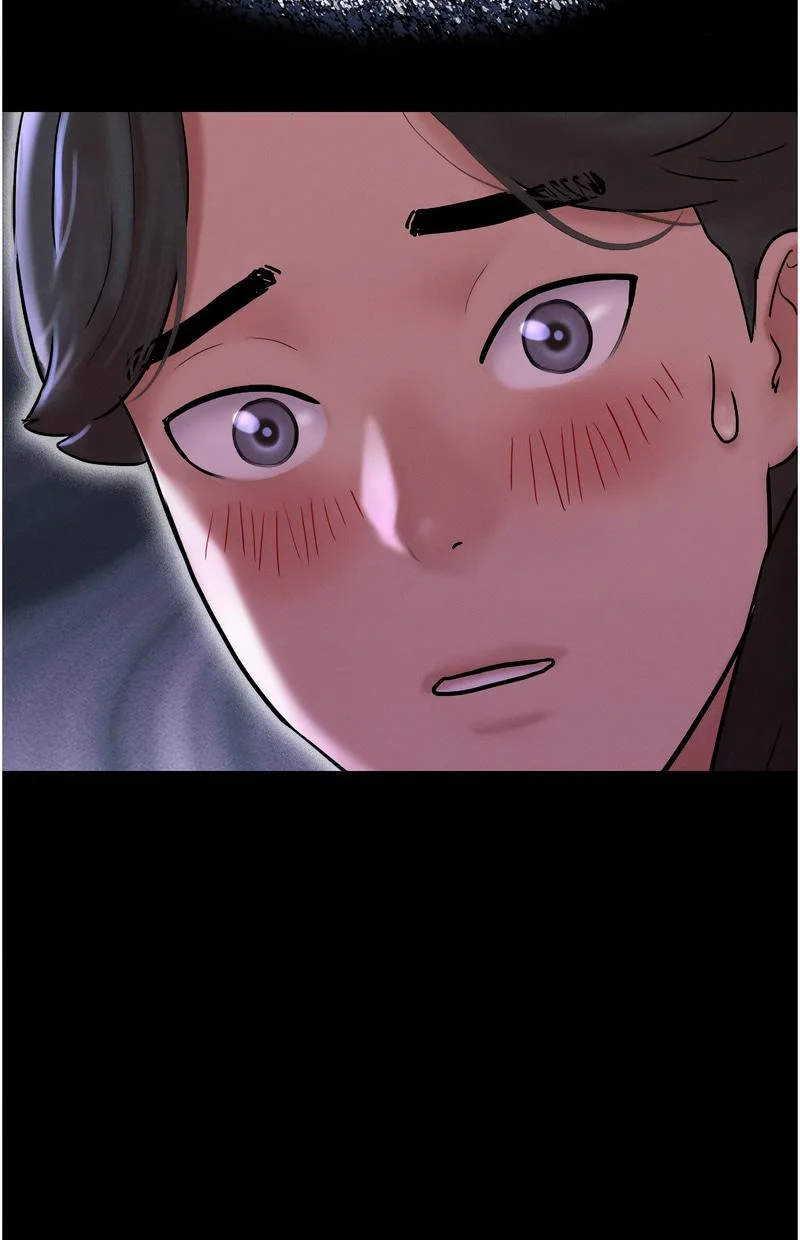 韶恩