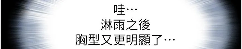 韶恩