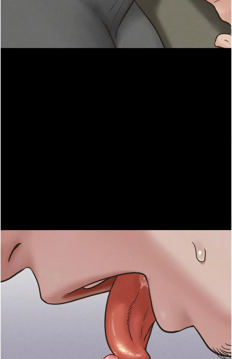 韶恩
