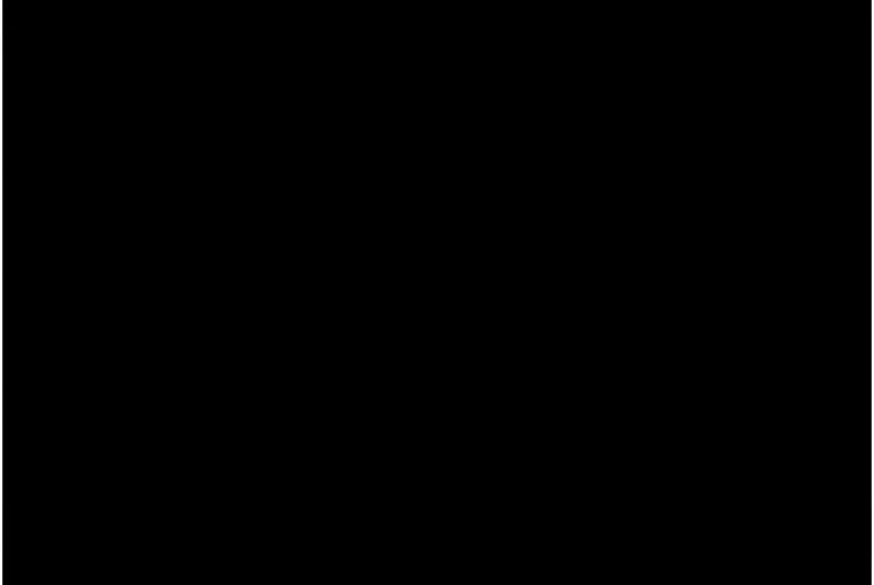 韶恩