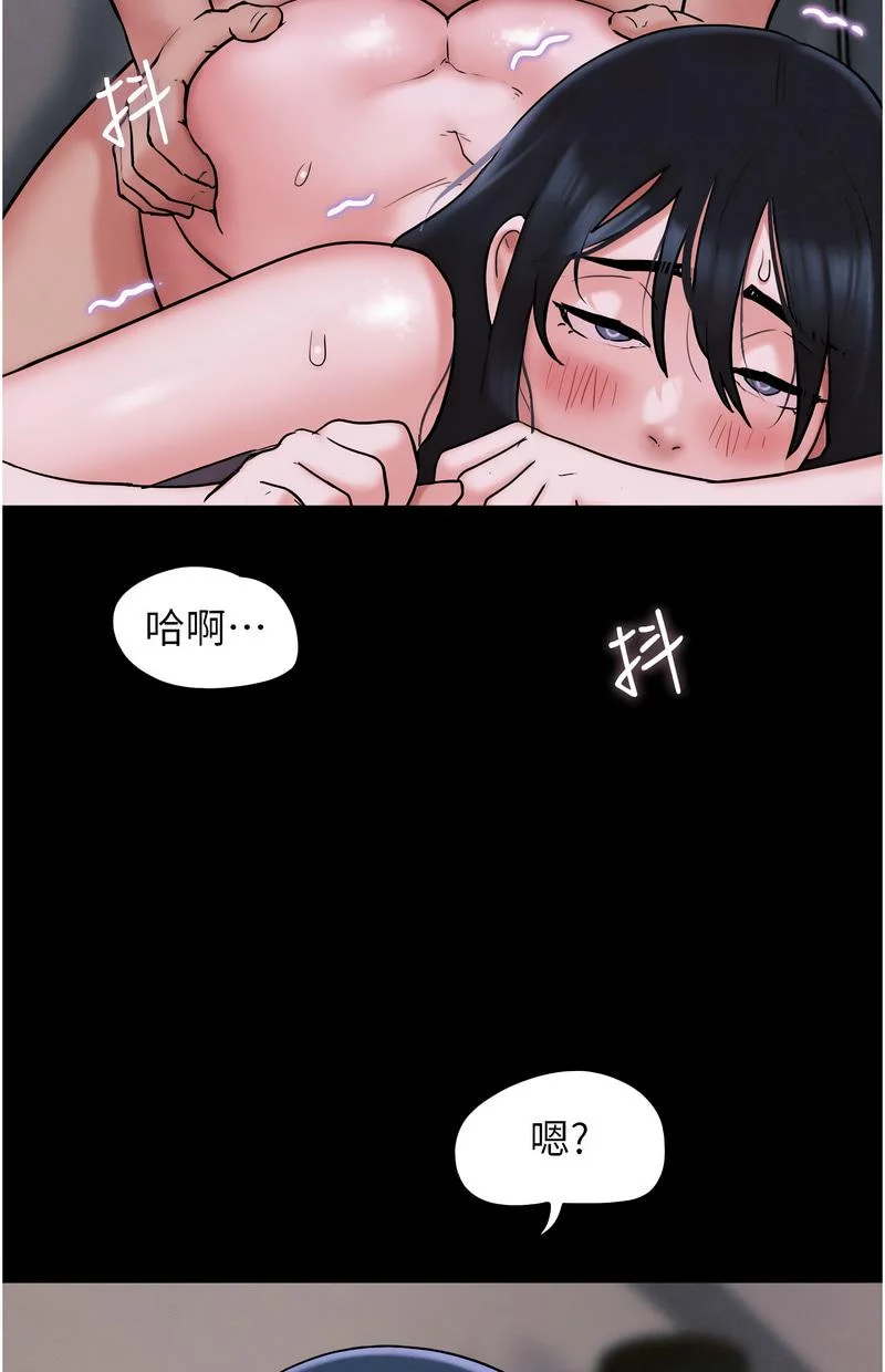 韶恩