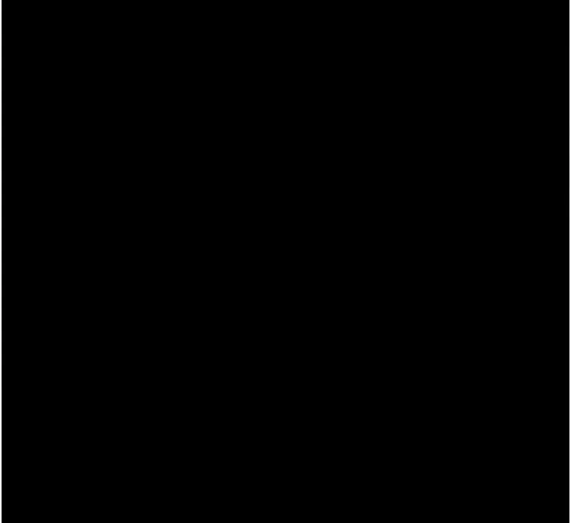 韶恩