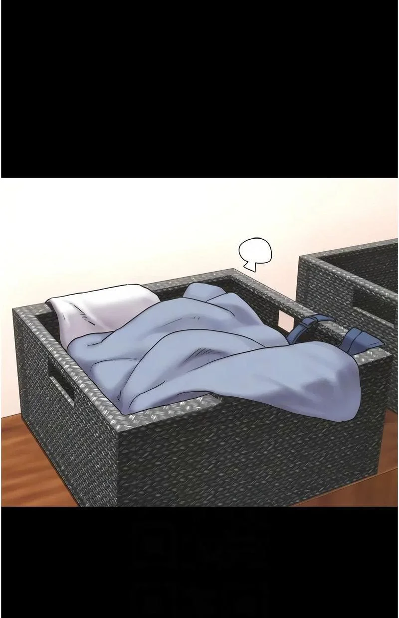 韶恩