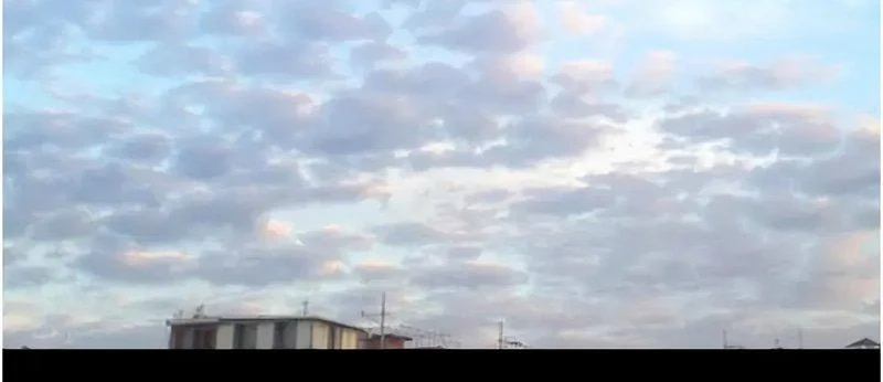 韶恩