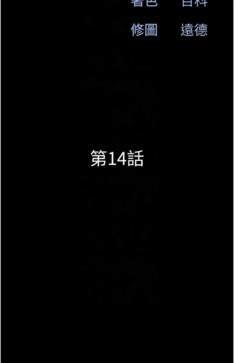 韶恩