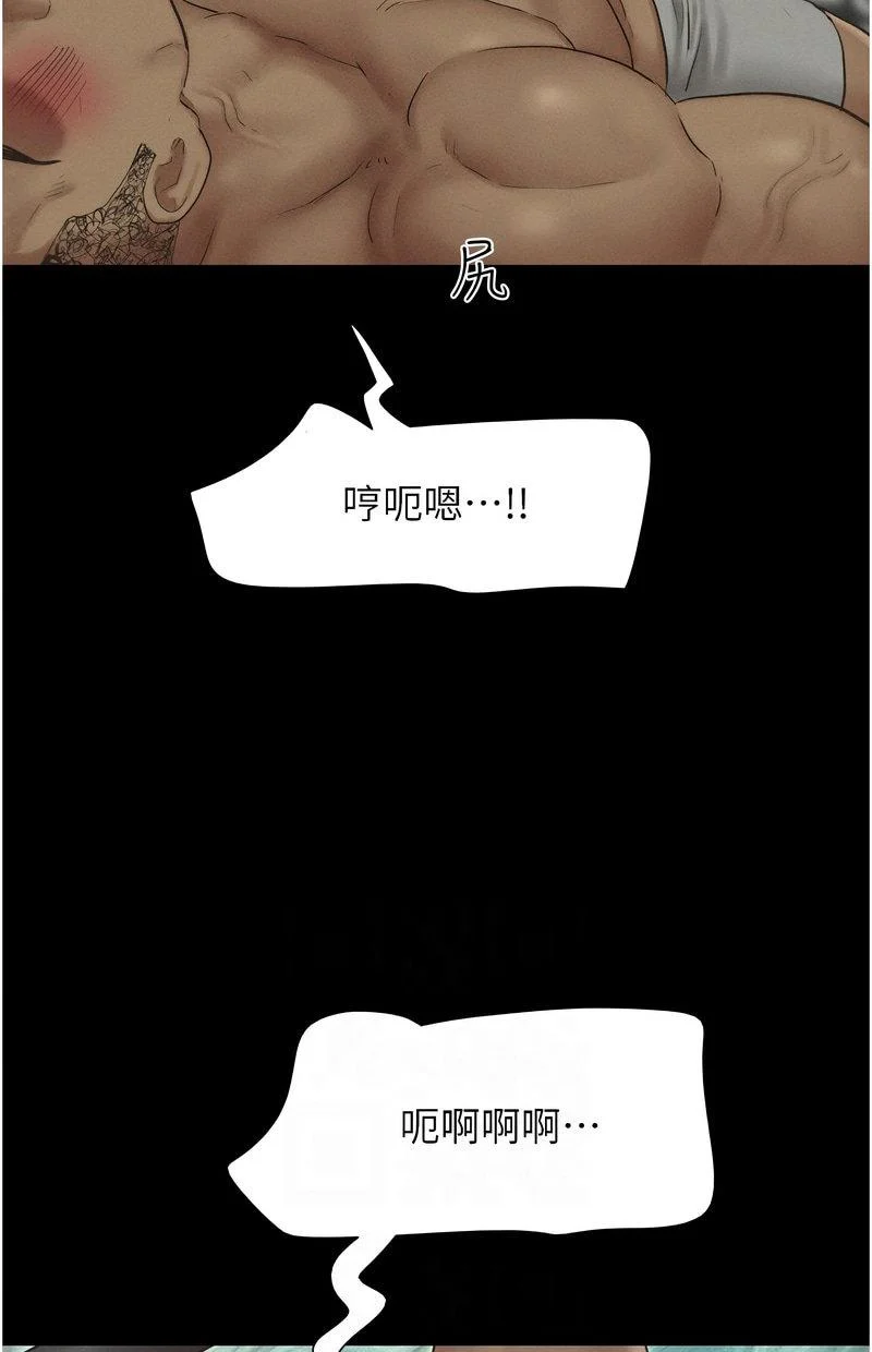 韶恩