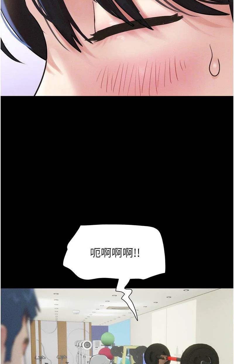 韶恩