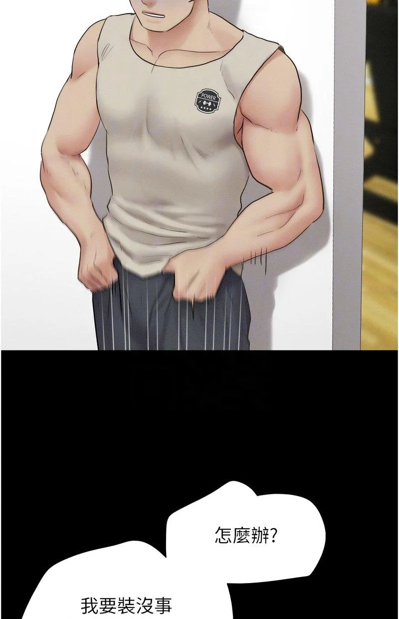 韶恩
