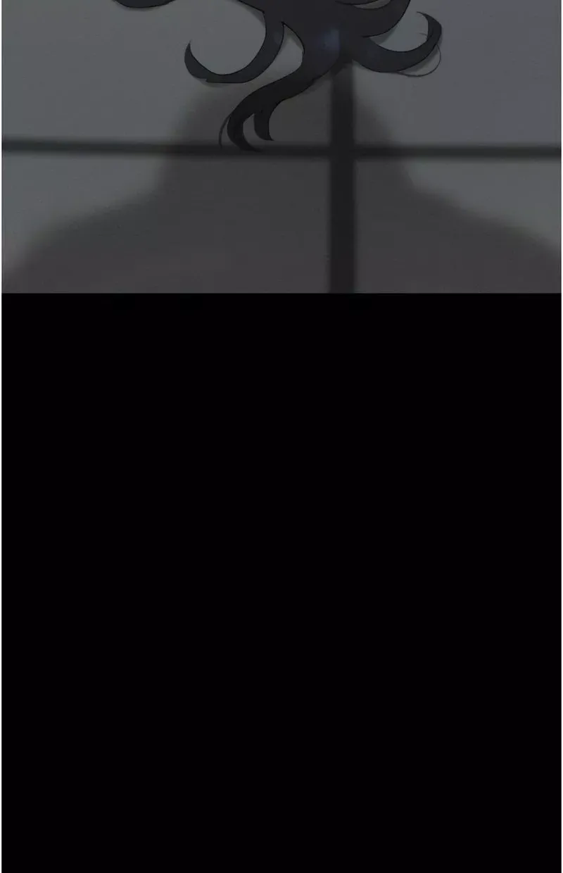 韶恩