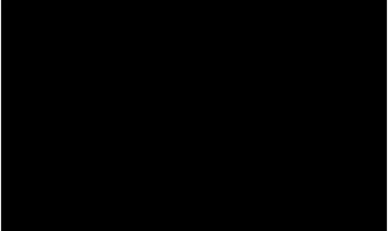 韶恩