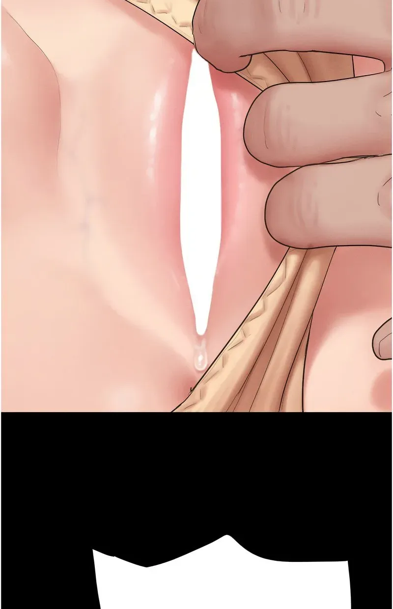 韶恩