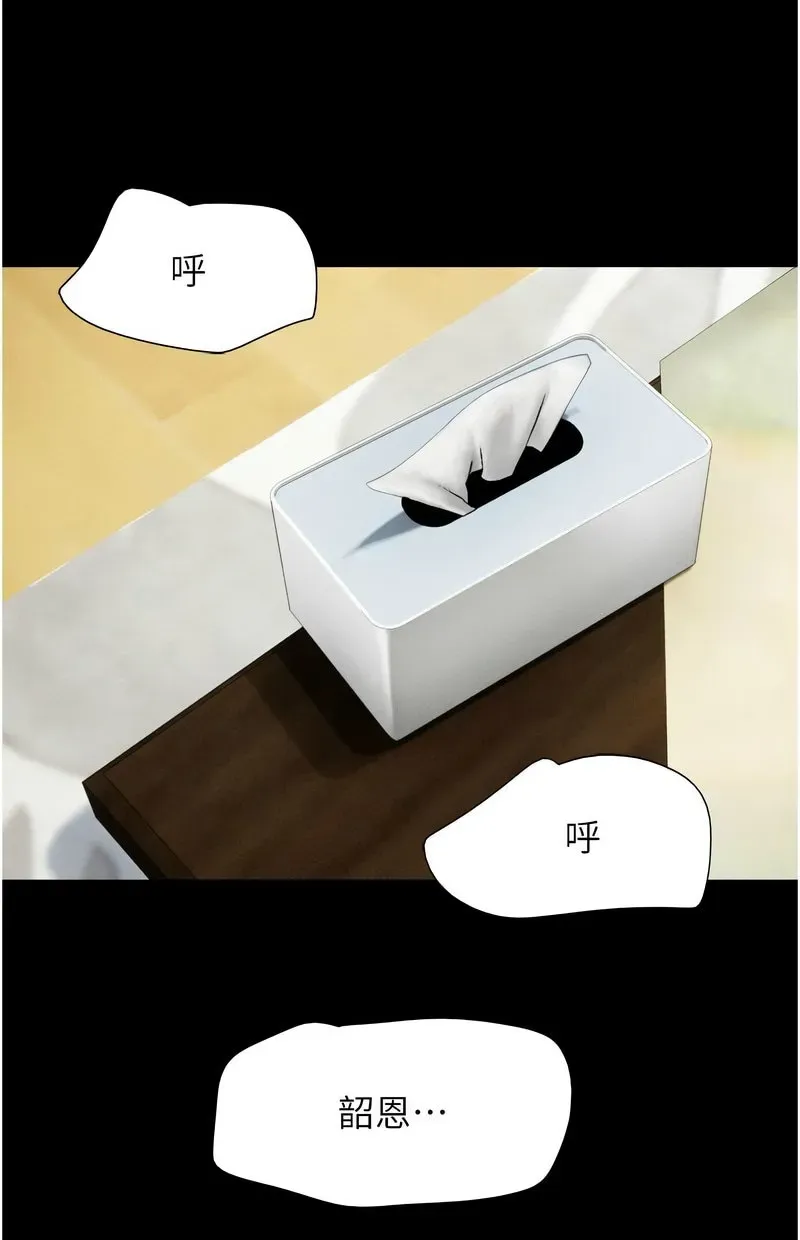 韶恩