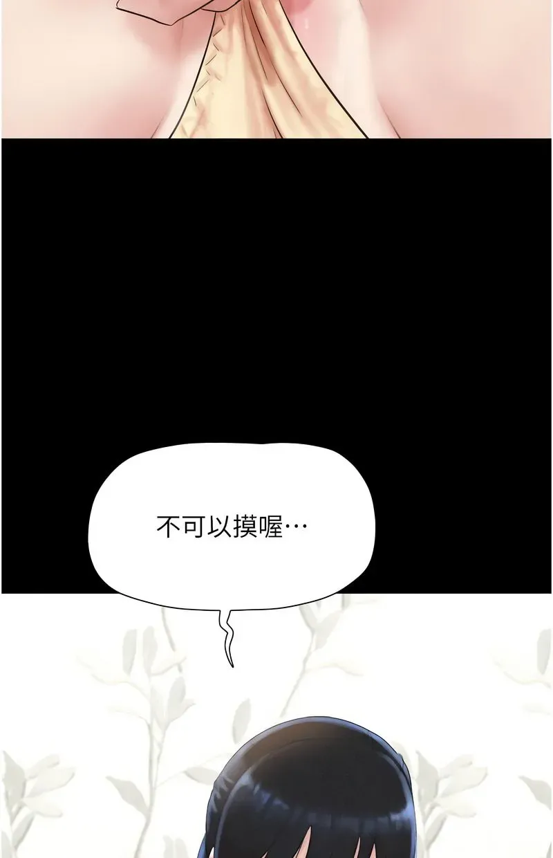 韶恩