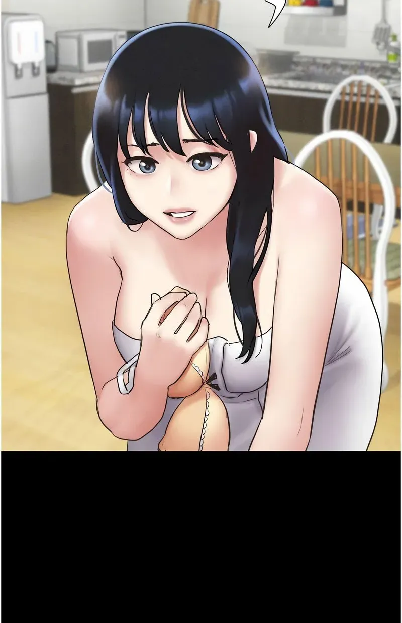 韶恩