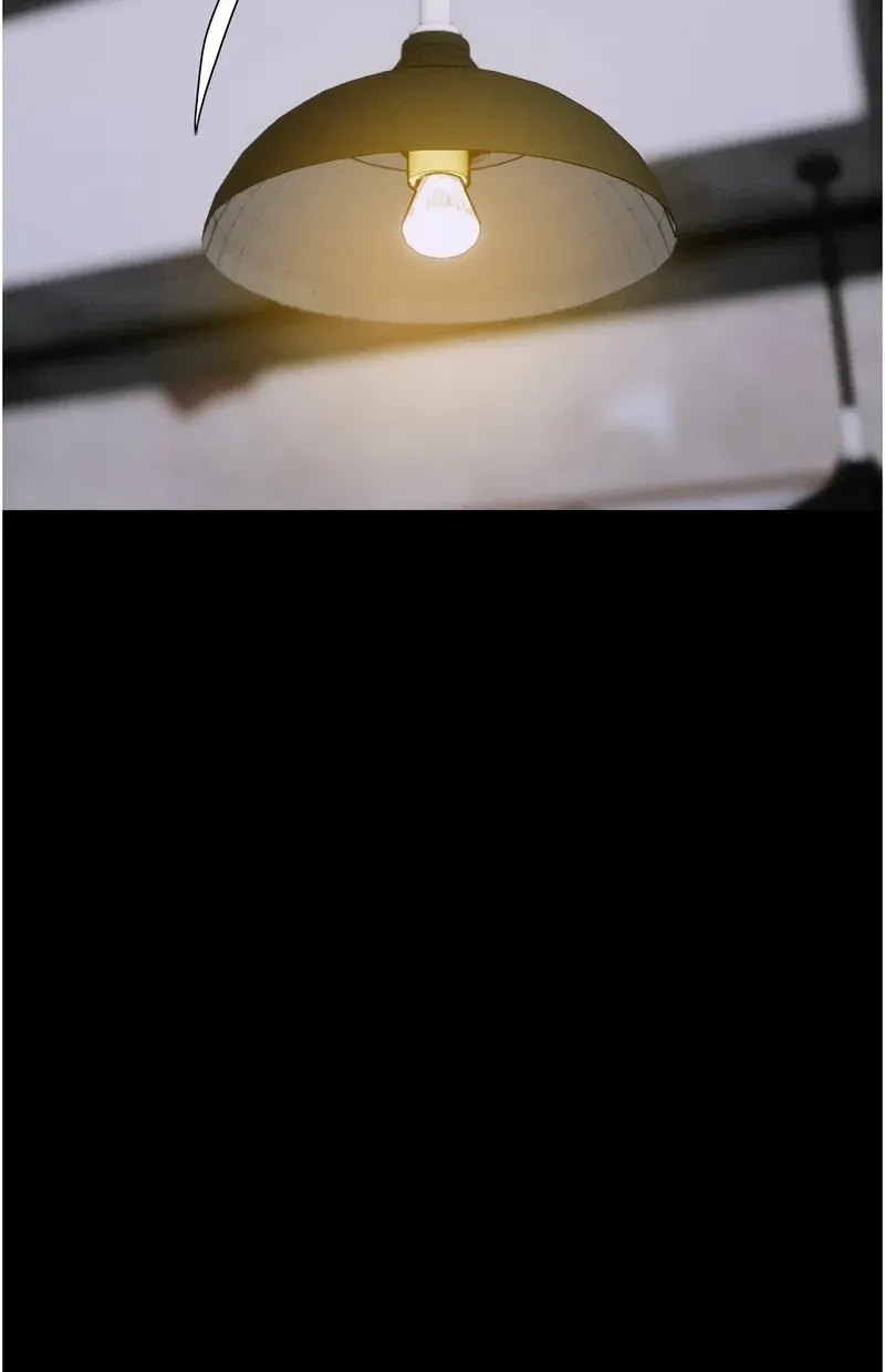 韶恩