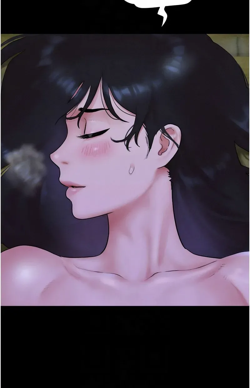韶恩