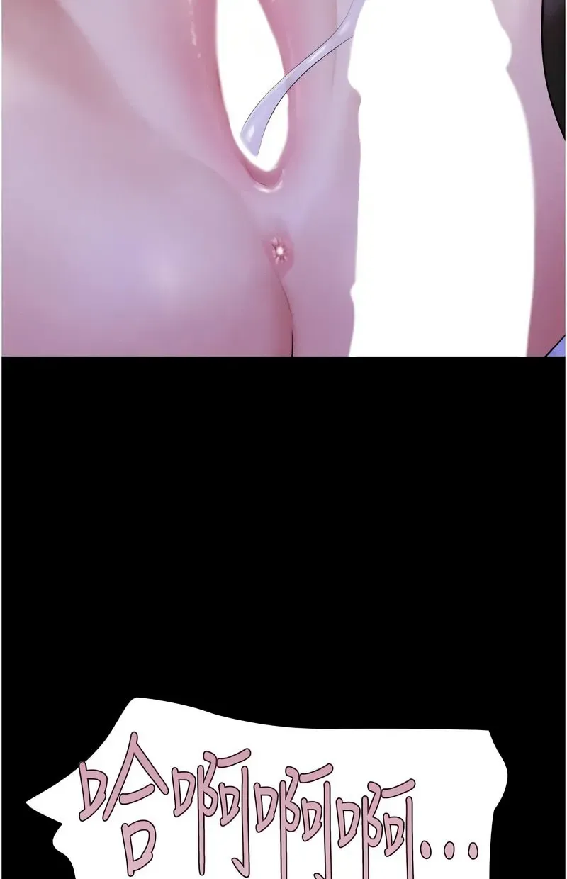 韶恩